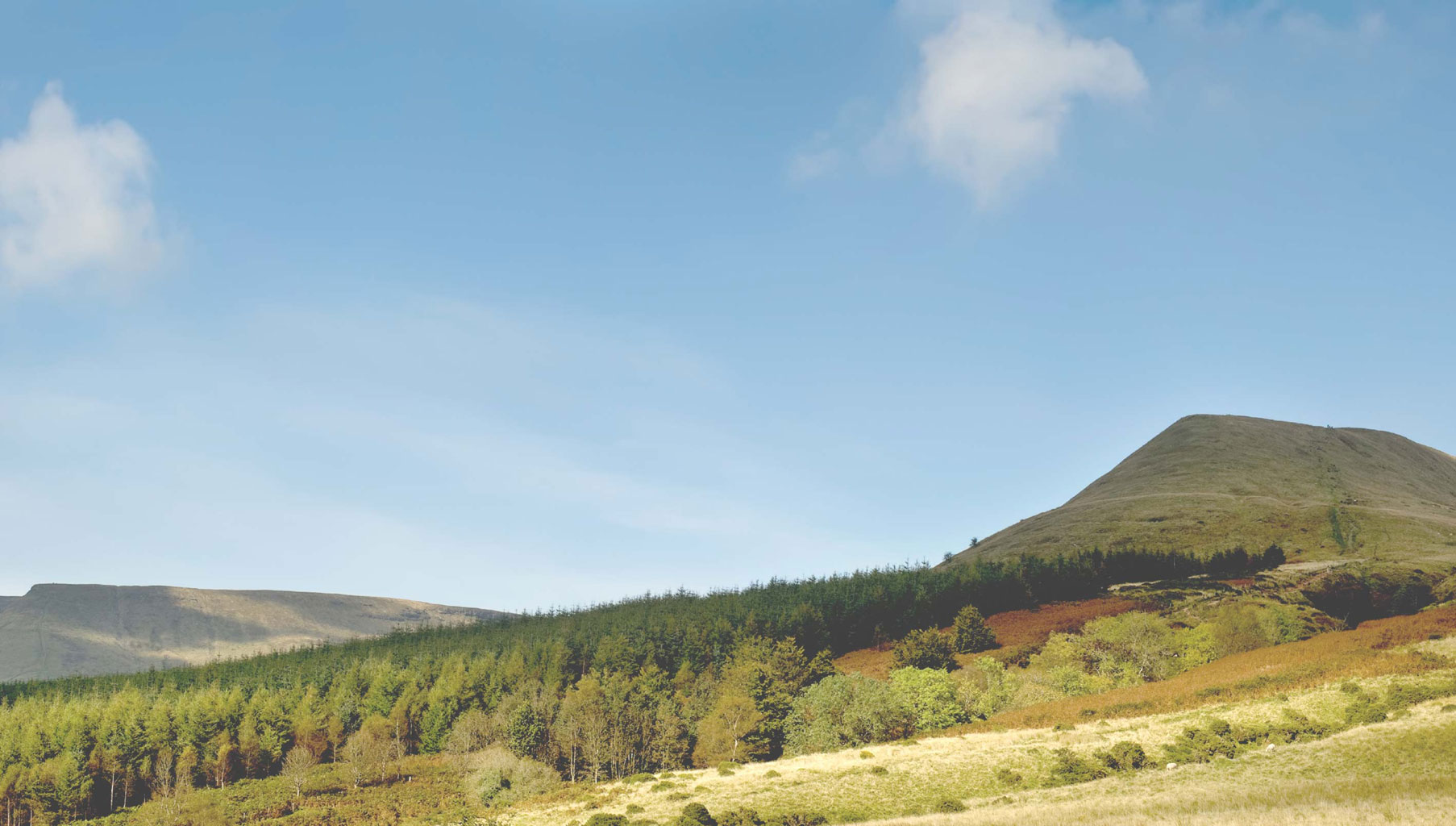 Hills and woodland in the Brecon Beacons National Park on a sunny day