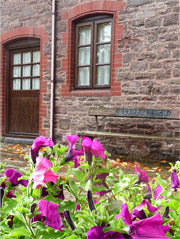 Flowers and the cottage door Flowers and the cottage door